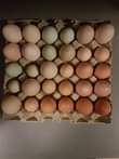 Denne veka fekk vi prøve oss på mange rettar med egg frå HPShønene 🐓 i mat og he